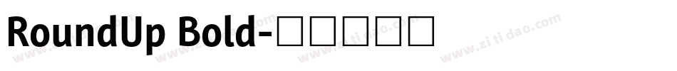 RoundUp Bold字体转换